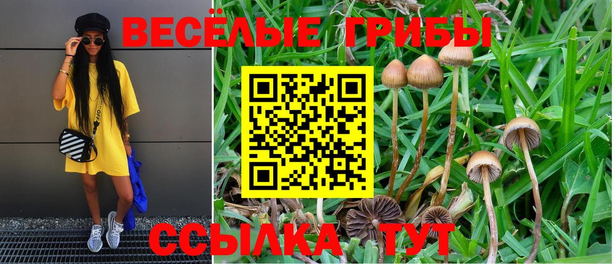 Мелеуз  Псилоцибиновые грибы Psilocybe  Вход с VPN  Галлюциногенные грибы прущие грибы 